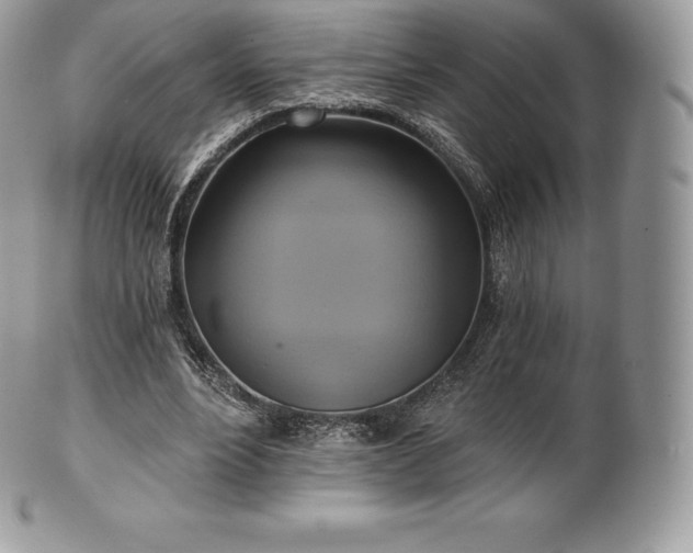 X0000101160488200807071201