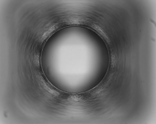 X0000101160489200807071201