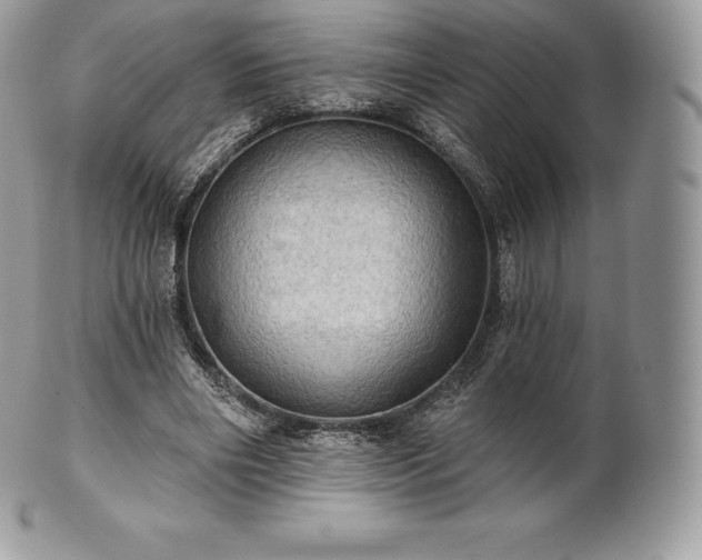 X0000101160490200807071201