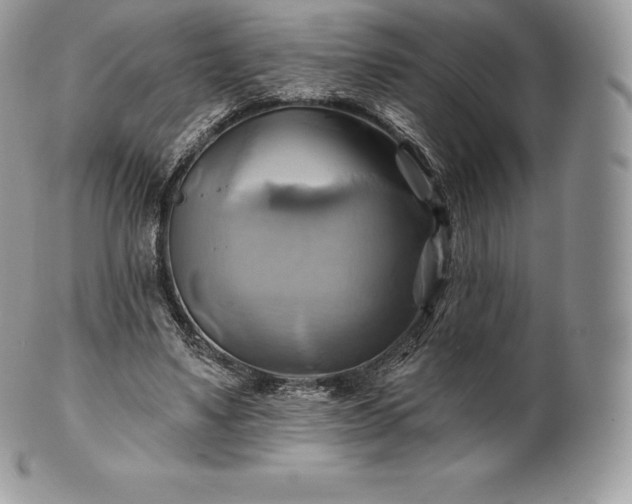 X0000101160491200807071201