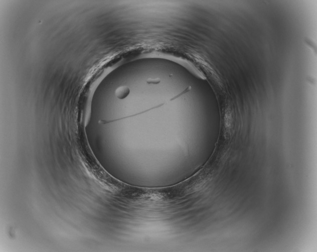 X0000101160492200807071201