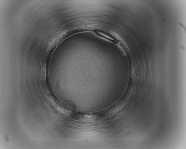 X0000101160493200807071201