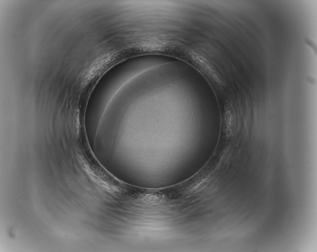 X0000101160494200807071201