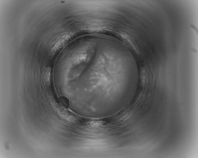 X0000101160495200807071201