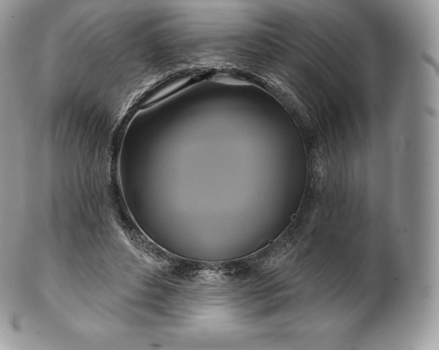 X0000101160496200807071201