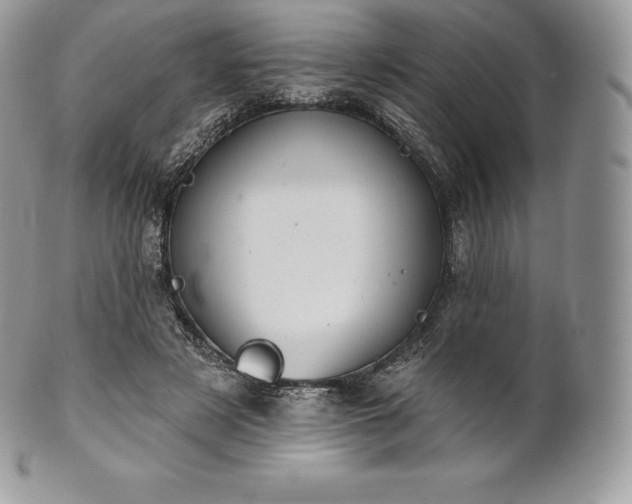 X0000101160497200807071201