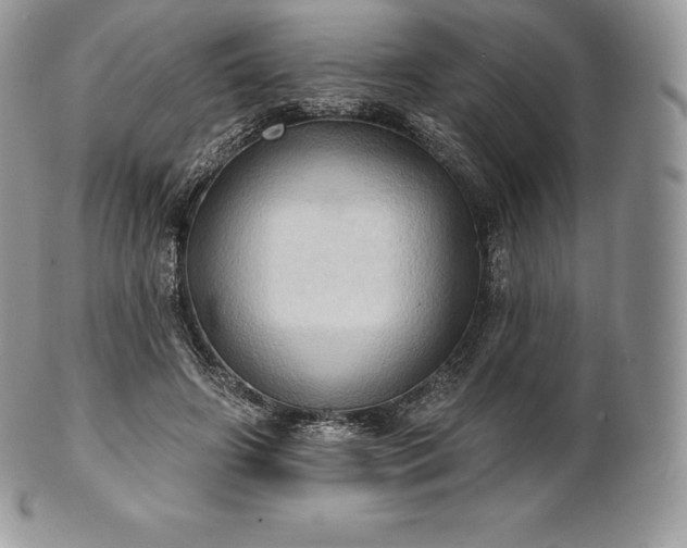 X0000101160498200807071201