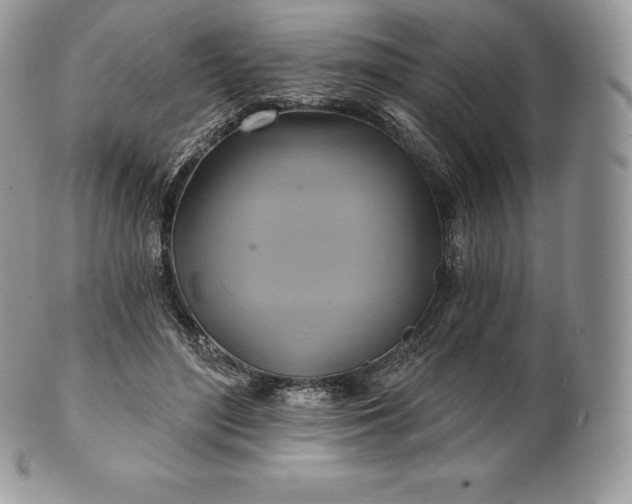 X0000101160500200807071201