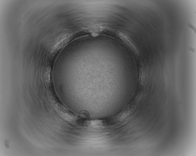 X0000101160501200807071201