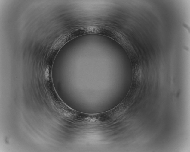 X0000101160502200807071201