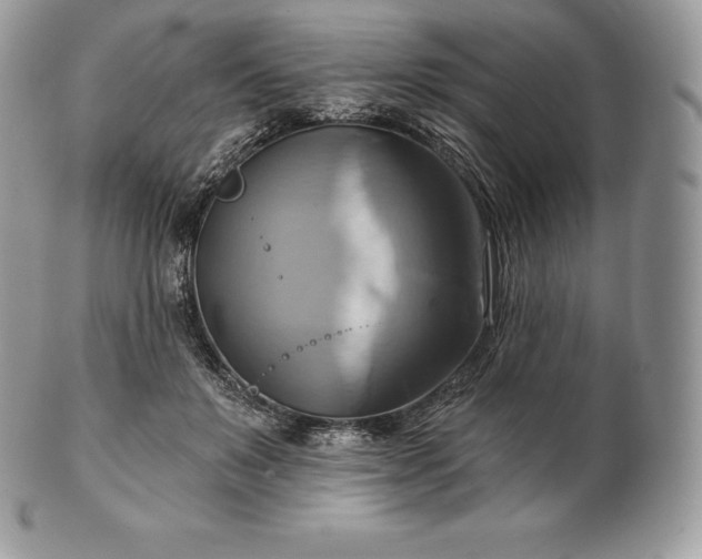 X0000101160503200807071201