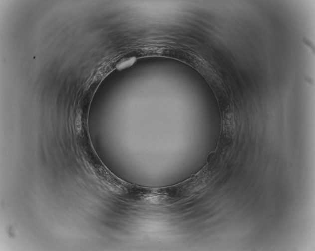 X0000101160504200807071201