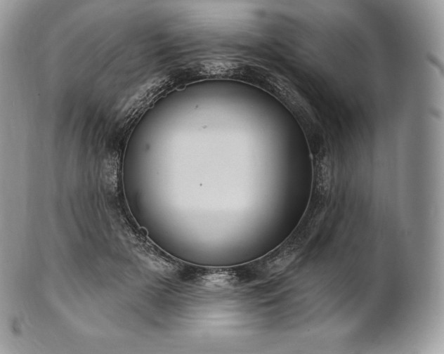 X0000101160505200807071201