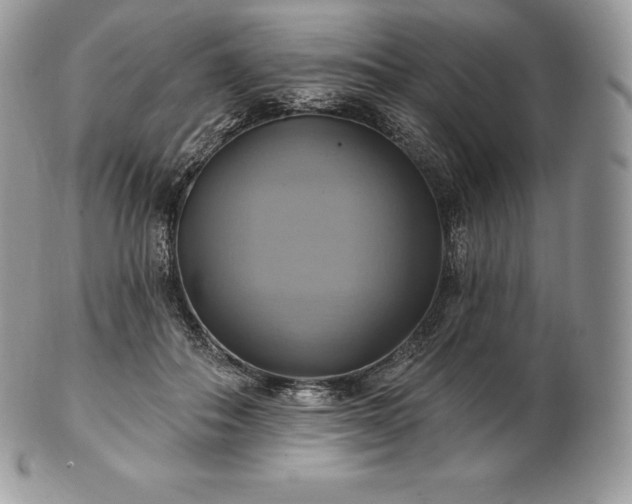 X0000101160506200807071201