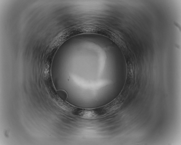 X0000101160507200807071201