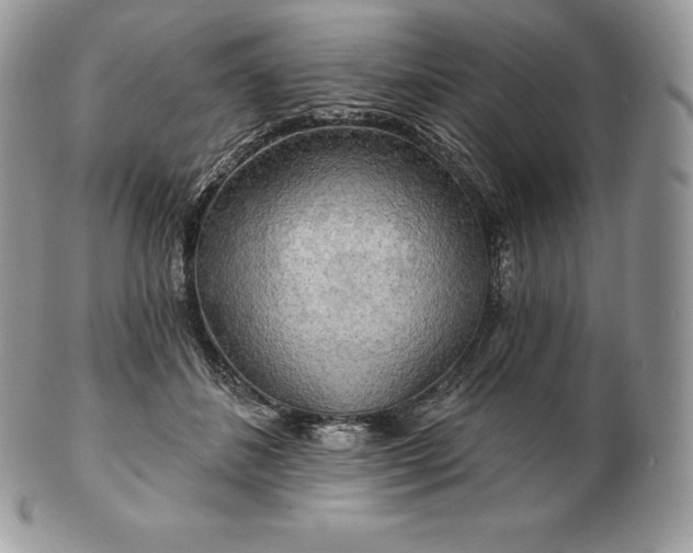 X0000101160508200807071201