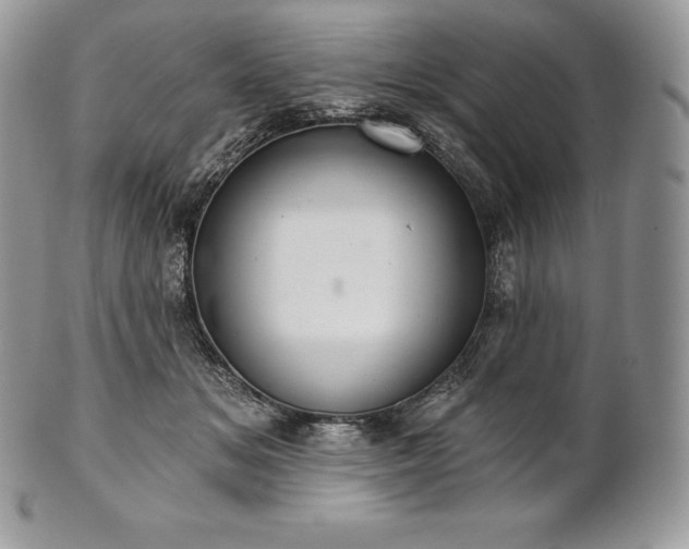 X0000101160509200807071201