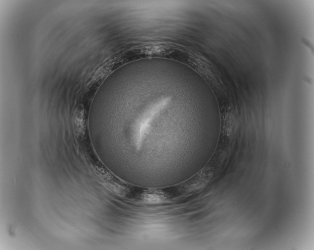 X0000101160510200807071201