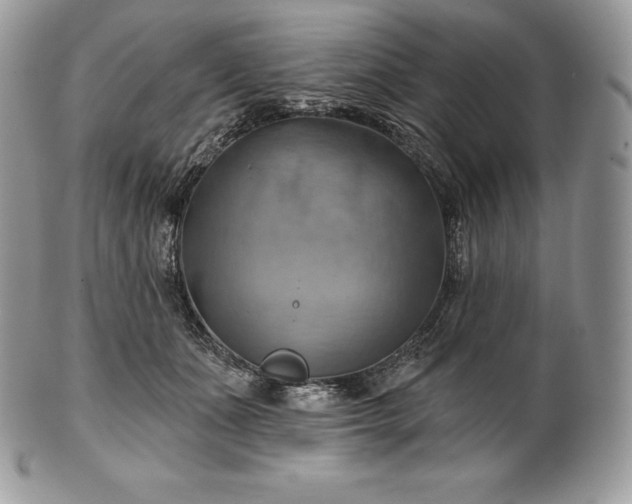 X0000101160511200807071201