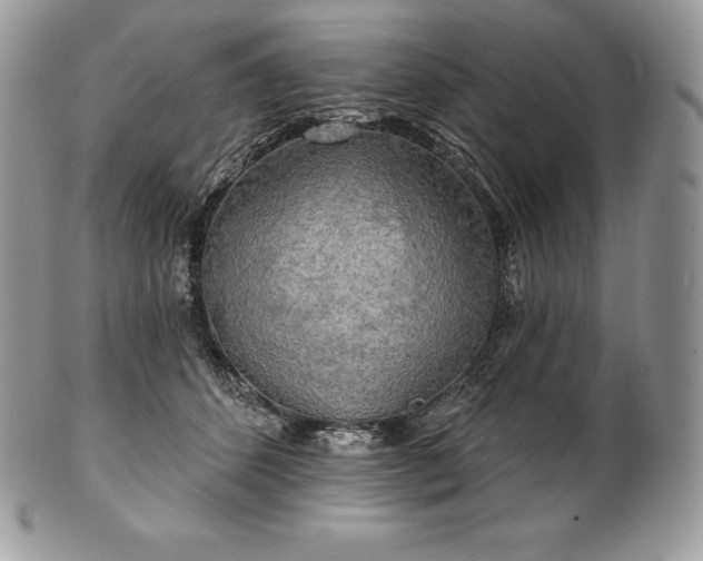 X0000101160512200807071201