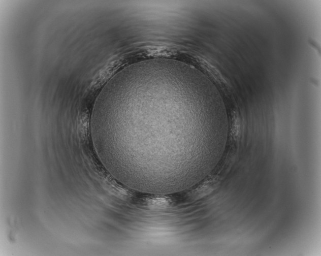 X0000101160513200807071201