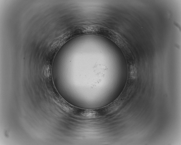 X0000101160514200807071201