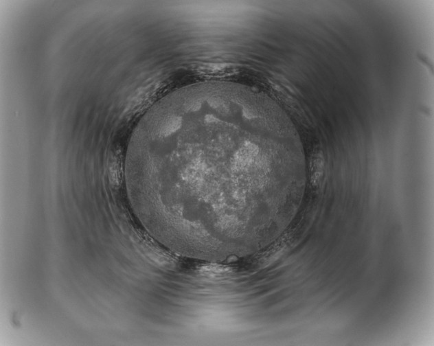 X0000101160515200807071201