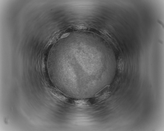 X0000101160516200807071201