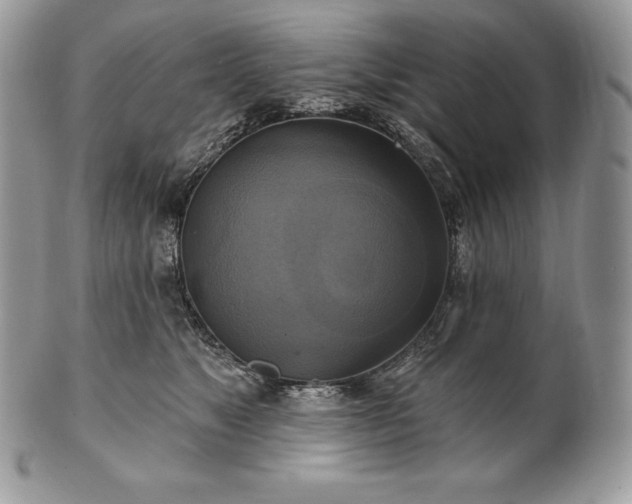 X0000101160517200807071201