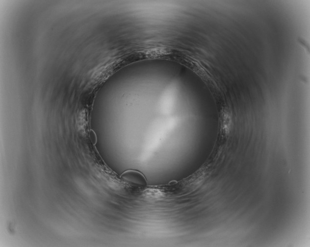 X0000101160519200807071201