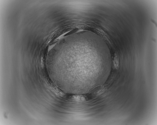 X0000101160520200807071201