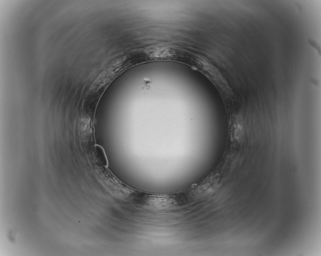 X0000101160521200807071201