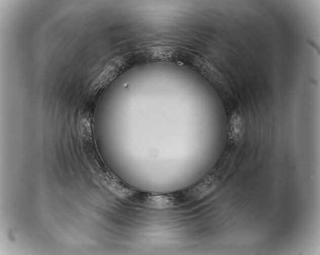 X0000101160522200807071201