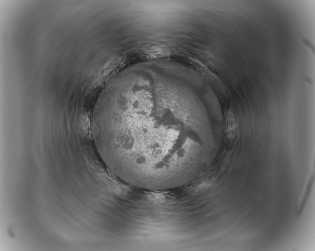 X0000101160523200807071201