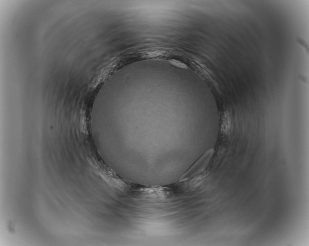 X0000101160524200807071201