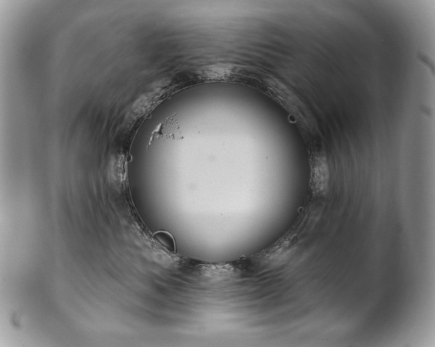 X0000101160525200807071201