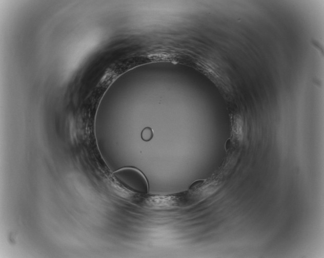 X0000101160526200807071201