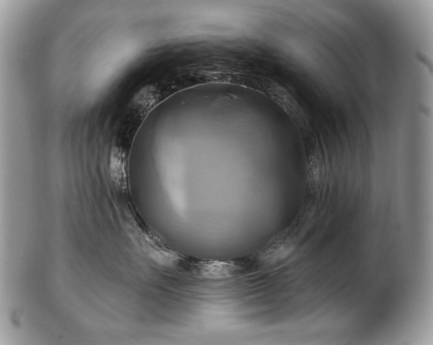 X0000101160527200807071201