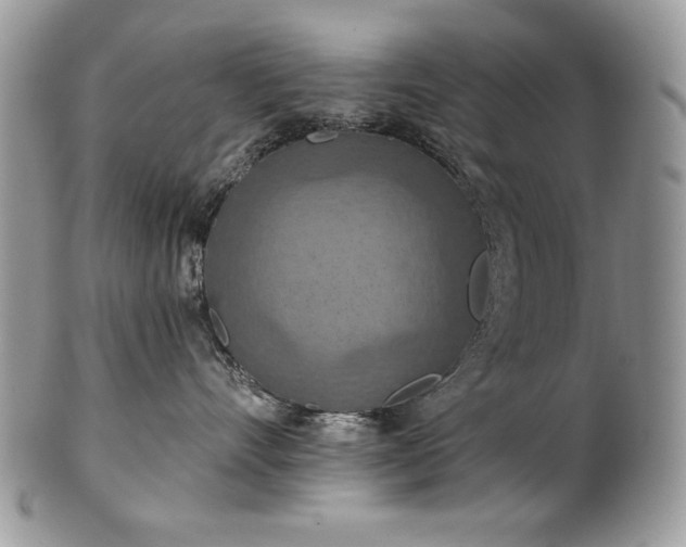 X0000101160528200807071201