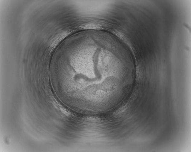 X0000101160529200807071200