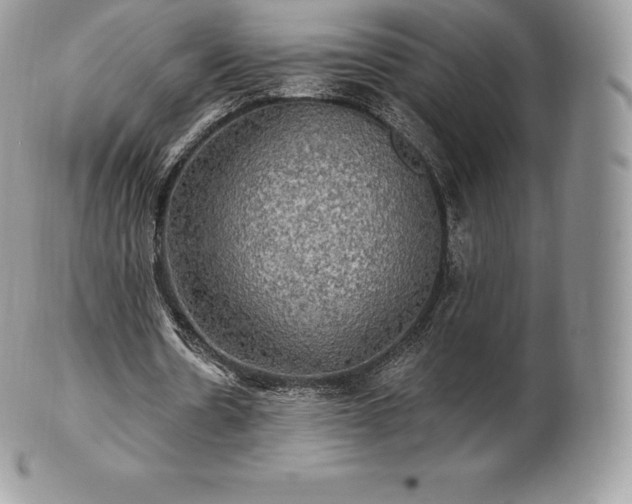 X0000101160530200807071200