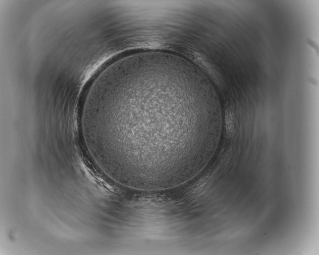 X0000101160532200807071200