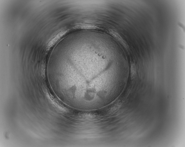 X0000101160533200807071200