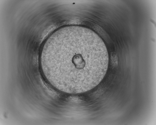 X0000101160534200807071200