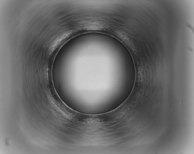 X0000101160535200807071200