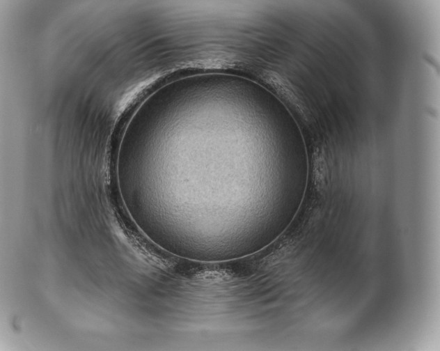 X0000101160536200807071200