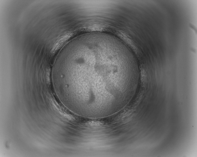 X0000101160537200807071200