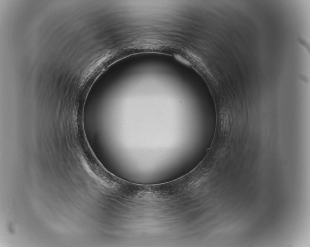 X0000101160538200807071200