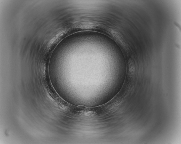 X0000101160539200807071200