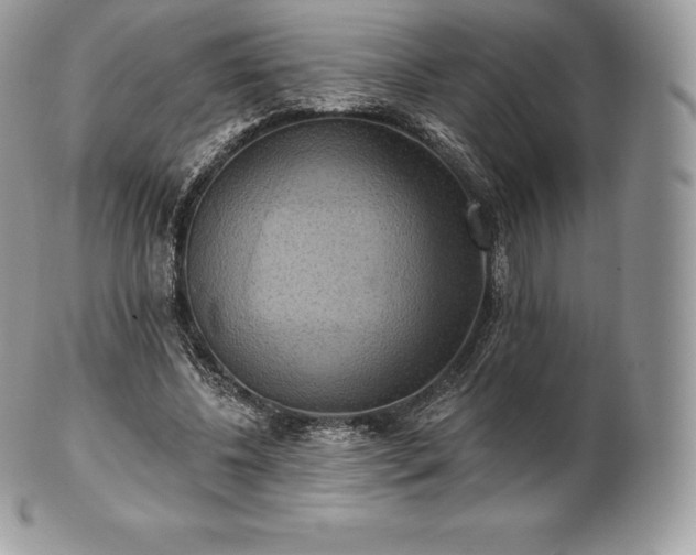 X0000101160540200807071200